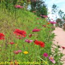 송림공원 건너 이미지