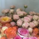 라비나플라워 이미지