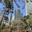 서빙고(근린공원) 이미지