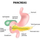 그레이 동물병원 이미지