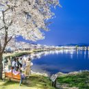 낙동강체육공원 야구장 이미지