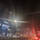 이마트 마곡 트레이더스 그랜드 오픈 방문 쇼핑 후기