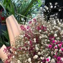 플라워맨카페(flower man cafe) 이미지