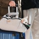 멍멍이네 이미지