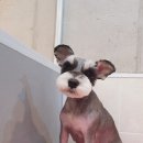 감성그루밍 이미지