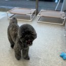 살롱드 멍 이미지