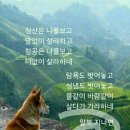 야 이미지