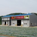 도산무청영농조합법인 | 무청시래기 드시고 건강하세요!