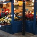 오퍼스홀 이미지