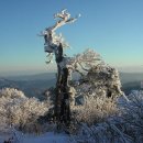 2018년 새해 첫 태백산 국립공원 눈꽃축제 여행 겸 산행안내 이미지