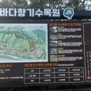 바다향기 | 대부도 바다향기 수목원 핑크뮬리 명소 후기, 당일치기 코스