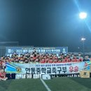 안동중 U-14 축구부, 전국대회 5연패 - 11~22일 울진 금강송 추계전국중등축구대회 우승 이미지