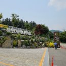 자작나무 조형물 이미지