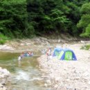 청향소림산장 이미지