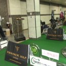 인그래인 골프클럽 이미지