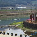 석곡돼지한마리 이미지