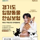 마이도 전자신문
