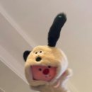 보타닉파크웨딩 이미지