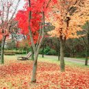 호수행정사 사무소 이미지