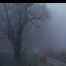 반여2동 상가시장 이미지