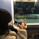 #14. 강릉 여행 (추억여행)