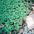 무산목장 이미지