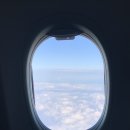 꿀딱 | 발리 제주항공 7C2711 직항 왕복 탑승기, 응우라이공항 투드레곤스