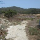 노화읍-6 이미지