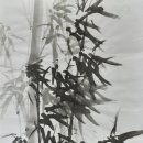 춘천지방법원 Daum카페