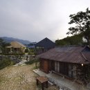 도문알레프