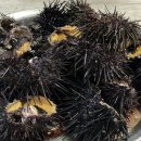 미니스톱 해양공원점 이미지