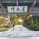 덕진 태양광발전소 이미지