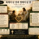 제8장,육에서 난 것과 영에서 난 것 이미지