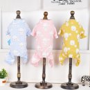 큐티애견 이미지