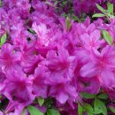 사부1리마을회관 이미지