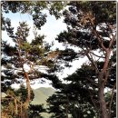 _나루터로2-2_ 이미지