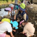 예인아이사랑어린이집 이미지