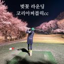 대로1-4 | 아쉬운 대로 벚꽃라운딩 코라이퍼블릭CC 골프라운딩 후기