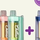 몰코리아 | 무니코틴 일회용 전담 칠렉스코리아 자사몰 이용후기