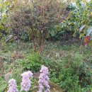 (주)정원 이미지