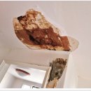 백곰집 | 인천누수 문제? 백곰누수라면 고민 끝! 후기 공개