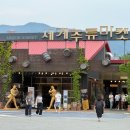 세계주류백화점 앞 | 춘천 가볼만한곳 춘천세계주류마켓 와인, 위스키, 사케 추천