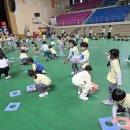 춘천유치원 이미지