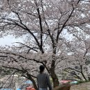 월곡 하늘공원 이미지