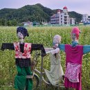 미사리촌집 이미지