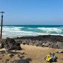 곽지몬스터캠핑 이미지