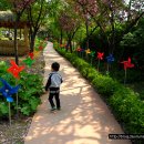 인천나비공원 이미지