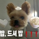 나의소중한한끼