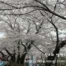 상록전집 이미지