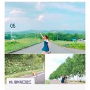 마루미농장 | 홋카이도 삿포로 7월 여름 여행 (4) 홋카이도랩 비에이 후라노 투어 점심 카이텐 스시